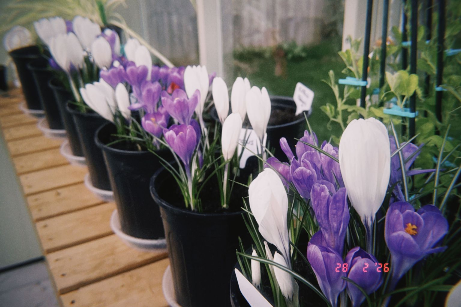 Project image for Studio and Life